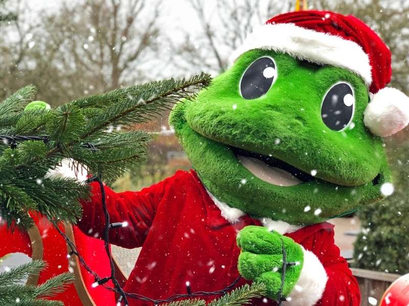 Aktivitäten & Entertaiment